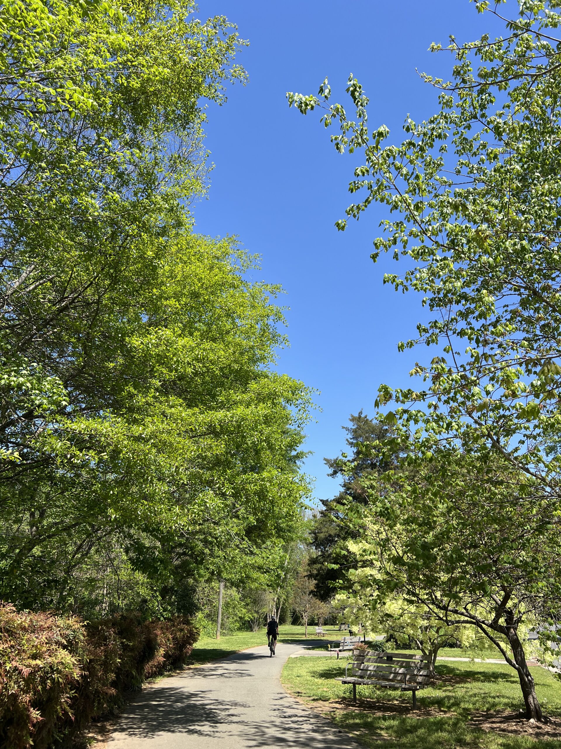 greenway in full bloom with greenery